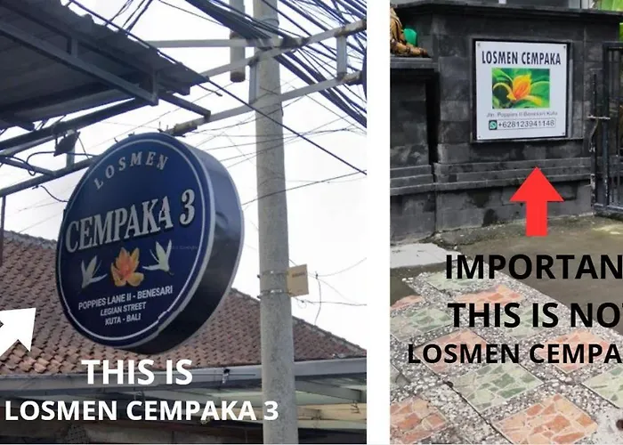 Losmen Cempaka 3 ゲストハウス